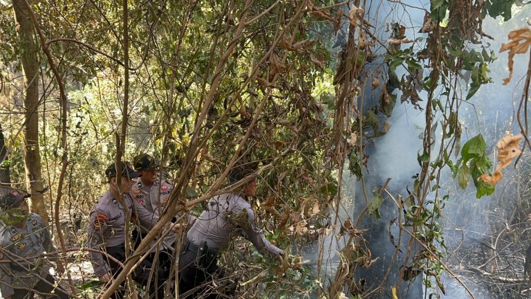 Bersama Tim Gabungan, Polisi Berusaha Padamkan Kobaran Api di Hutan Pinus Kalijoyo (Foto: Dok Humas Polres Pekalongan)