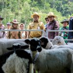 Panen Cempe dan Pesta Patok, Wujudkan Banjarnegara Lumbung Ternak Jateng (Foto: Dok Kominfo Banjarnegara)