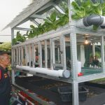 Tekan Sampah Organik, DLH Ajak Masyarakat Buat 4in1 di Lingkungan Sekitarnya (Foto: Dok Timkom Pemkot Pekalongan)