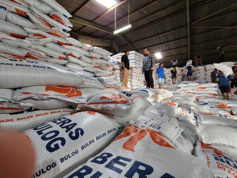 Soal Fluktuasi Harga Beras, NFA: Tingkatkan Produksi di Hulu dan Gencarkan Intervensi di Hilir (Foto: Dok Bapanas)