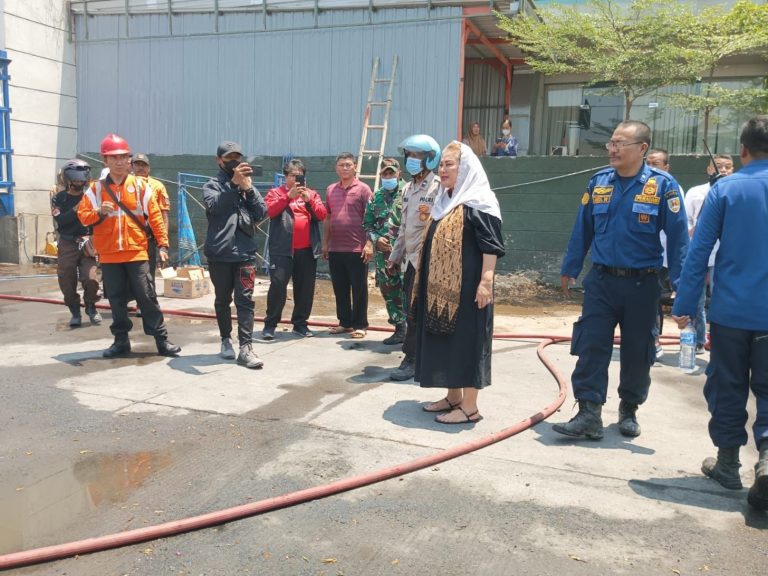 Cegah Kebakaran, Mbak Ita Ingatkan Masyarakat Waspadai Ilalang dan Semak-semak Kering (Foto: Dok  Pemkot Semarang)