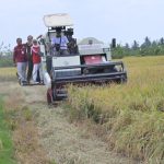 Panen Optimal di Musim Kering, Bupati Tiwi Apresiasi Teknologi Panen Cerdas Iklim (Foto: Dok Kominfo Purbalingga)