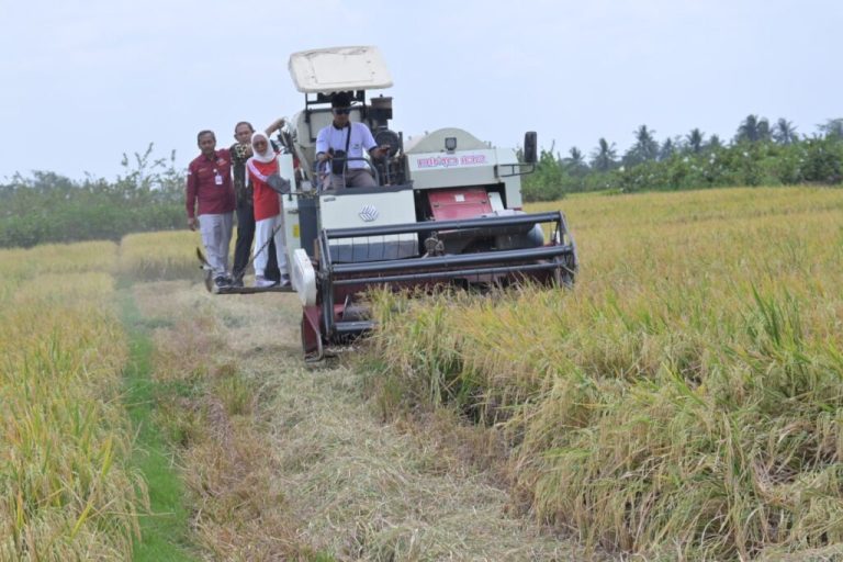 Panen Optimal di Musim Kering, Bupati Tiwi Apresiasi Teknologi Panen Cerdas Iklim (Foto: Dok Kominfo Purbalingga)