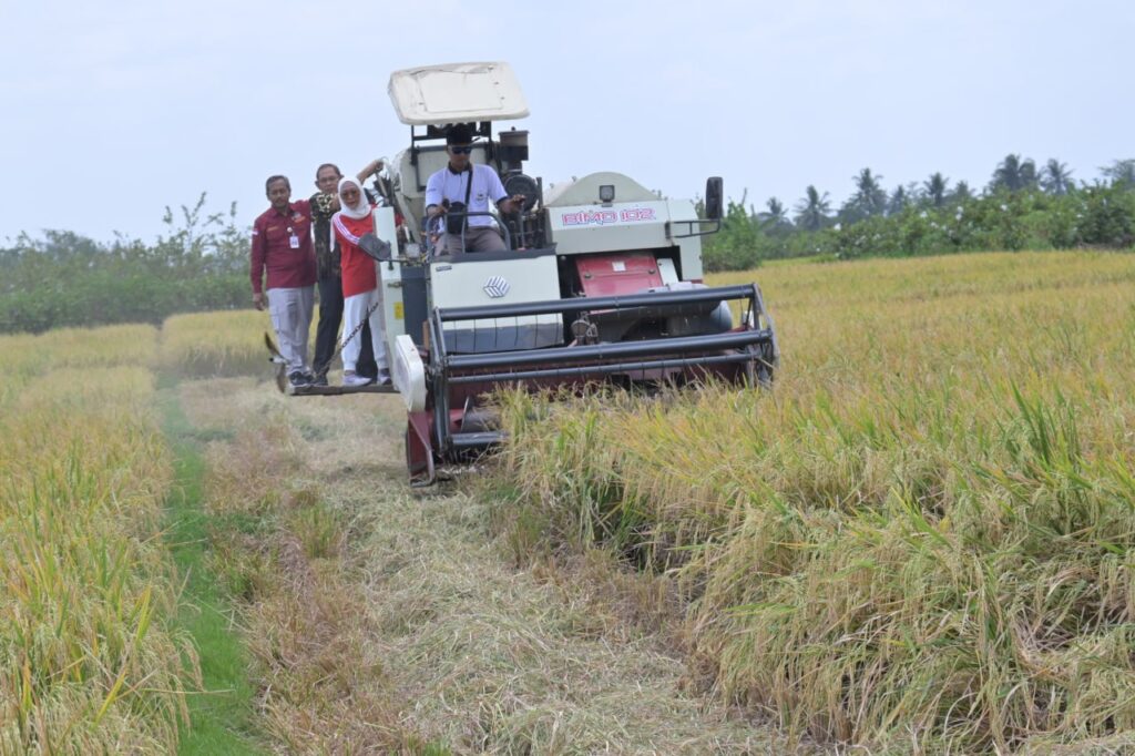 Panen Optimal di Musim Kering, Bupati Tiwi Apresiasi Teknologi Panen Cerdas Iklim (Foto: Dok Kominfo Purbalingga)