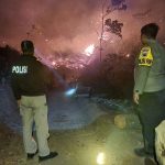 TNI-Polri Bersama Perhutani dan Warga Tajur Padamkan Kebakaran 5 Hektar Hutan Pinus (Foto: Dok Humas Polres Pekalongan)