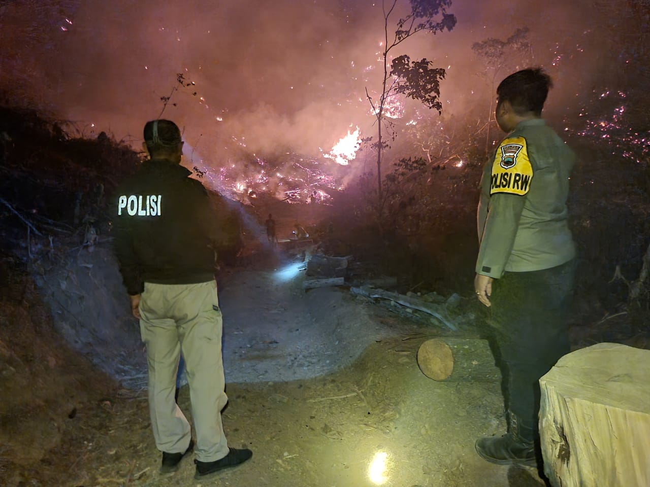 TNI-Polri Bersama Perhutani dan Warga Tajur Padamkan Kebakaran 5 Hektar Hutan Pinus (Foto: Dok Humas Polres Pekalongan)