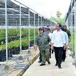 Presiden Jokowi saat meninjau Persemaian Mentawir di Kabupaten Penajam Paser Utara, Kalimantan Timur pada Kamis (21/09). (Foto: Dok BPMI Setpres)