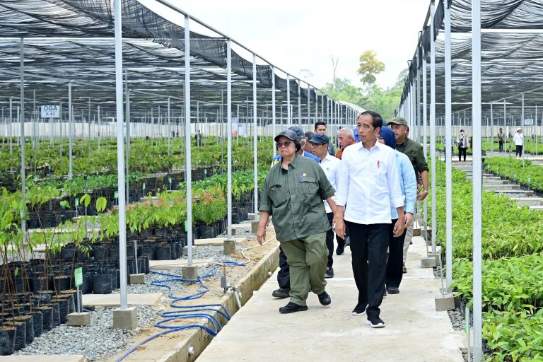 Presiden Jokowi saat meninjau Persemaian Mentawir di Kabupaten Penajam Paser Utara, Kalimantan Timur pada Kamis (21/09). (Foto: Dok BPMI Setpres)