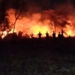Kandang di Jakenan Terbakar, 10 Ribu Ayam Ludes Terpanggang