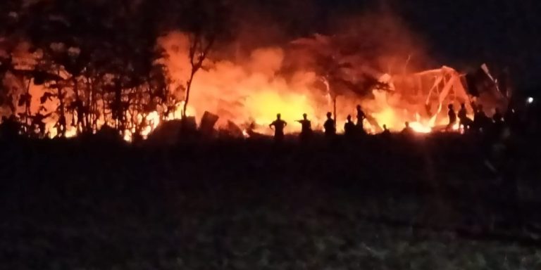Kandang di Jakenan Terbakar, 10 Ribu Ayam Ludes Terpanggang