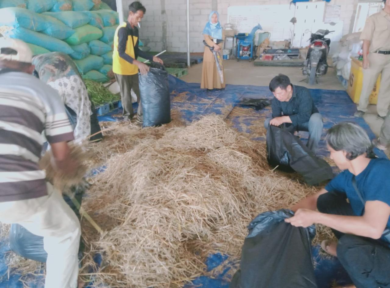 Peternak Domba dan Kambing Kota Pekalongan Belajar Peningkatan Usaha Ternak (Foto: Dok Timkom Pemkot Pekalongan)
