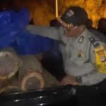 Polsek Dlingo Tangkap 2 Pelaku Penebangan Liar, Barang Bukti Kayu Sonokeling Diamankan (Foto: Dok Humas Polres Bantul)