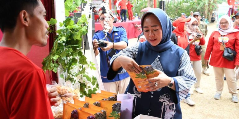 Mengenal Norisi, Nori Berbahan Daun Singkong Ala Purbalingga (Foto: Dok Kominfo Purbalingga)