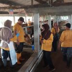 Bakti Peternakan, Dinperpa Tuntaskan Vaksin Booster PMK dan Penanganan Gangguan Reproduksi Sapi (Foto: Dok Timkom Pemkot Pekalongan)