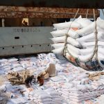 Dirut BULOG dan Badan Karantina Jamin 100 Persen Semua Beras Impor Aman (Foto: Dok Perum Bulog)