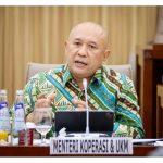 MenkopUKM: Pemerintah Apresiasi Kepatuhan TikTok Shop (Foto: Dok KemenKop UKM)