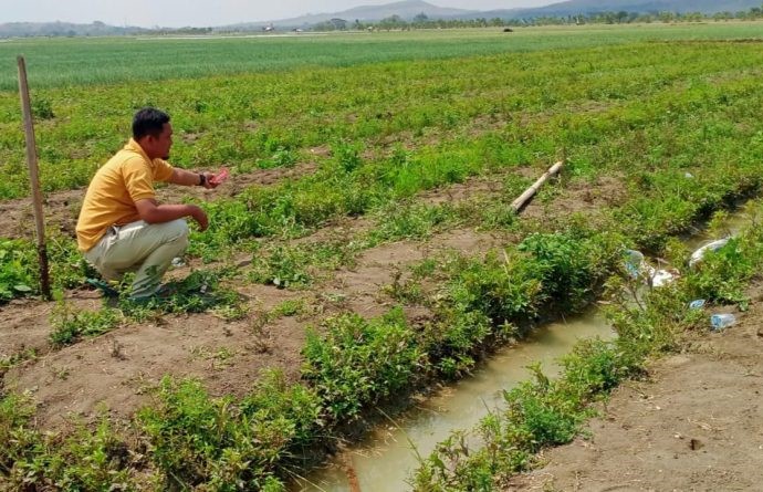 Ngasak Bawang Merah, Lansia Warga Mojoagung Meninggal Dunia di Sawah (Foto: Dok Humas Polres Grobogan)