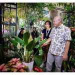 MenKopUKM Dorong Terbentuknya Ekosistem Industri Tanaman Hias (Foto: Dok KemenKopUKM)
