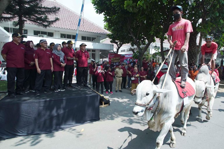 Motivasi Peternak Boyolali, Disnakkan Gelar Bulan Bakti Peternakan ke-187 Secara Meriah (Foto: Dok Diskominfo Boyolali)
