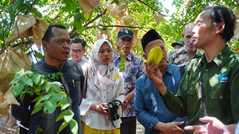 Festival Belimbing Jingga di kompleks Perpustakaan R.A. Kartini RT 3 RW 4, Desa Ketilengsingolelo, Kecamatan Welahan. (Foto: Dok Diskominfo Jepara)