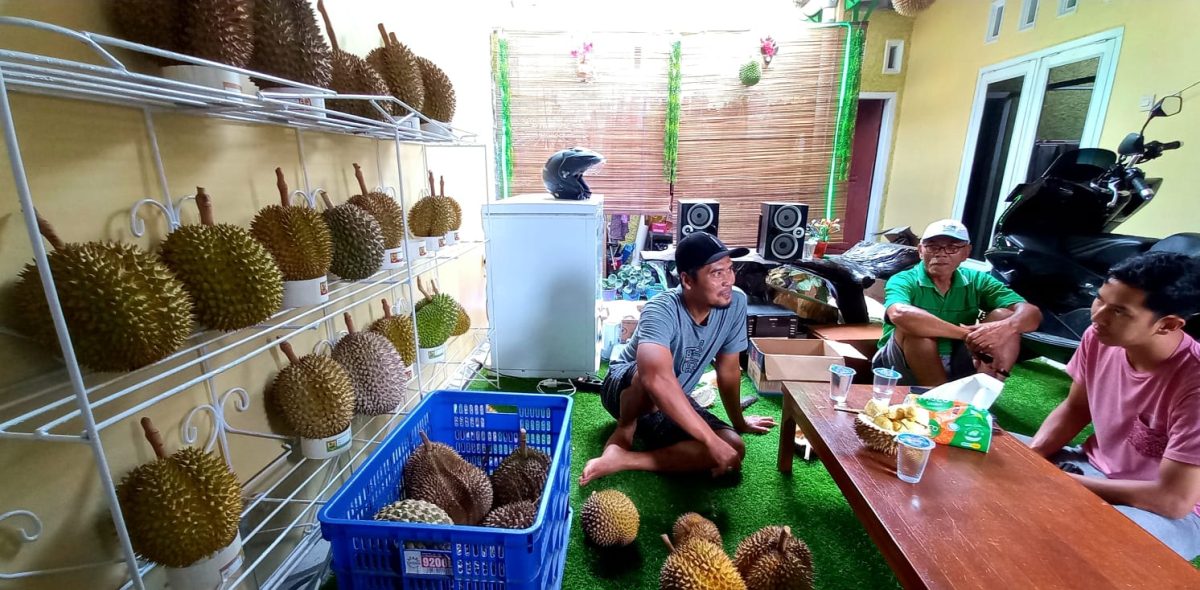 Potensi Durian Melimpah, IPDA Berharap Adanya Agrowisata di Sigaluh (Foto: Dok Kominfo Banjarnegara)