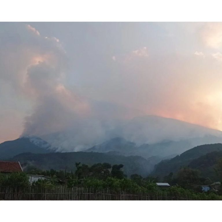 Area Seluas 30 Hektar Lahan Gunung Lawu Terbakar (Foto: Dok BNPB)