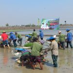 Gernas Tanam Padi saat Puncak Fenomena El Nino di Karanganyar Demak (Foto: Dok Kominfo Demak)