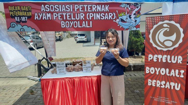 Peternak Ayam Asal Boyolali Berinovasi Hasilkan Telur Kaya Gizi (Foto: Dok Diskominfo Boyolali)