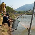 Punya Keunggulan, Tambak Bandeng Donorojo Didorong Menjadi Tambak Budidaya Intensif (Foto: Dok Diskominfo Jepara)