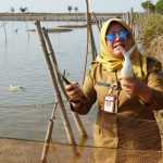 Promosikan Bandeng Kartini, Siap Catatkan Rekor Muri Bakar Ikan (Foto: Dok Diskominfo Jepara)