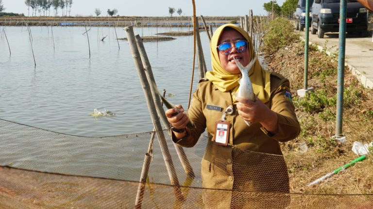 Promosikan Bandeng Kartini, Siap Catatkan Rekor Muri Bakar Ikan (Foto: Dok Diskominfo Jepara)