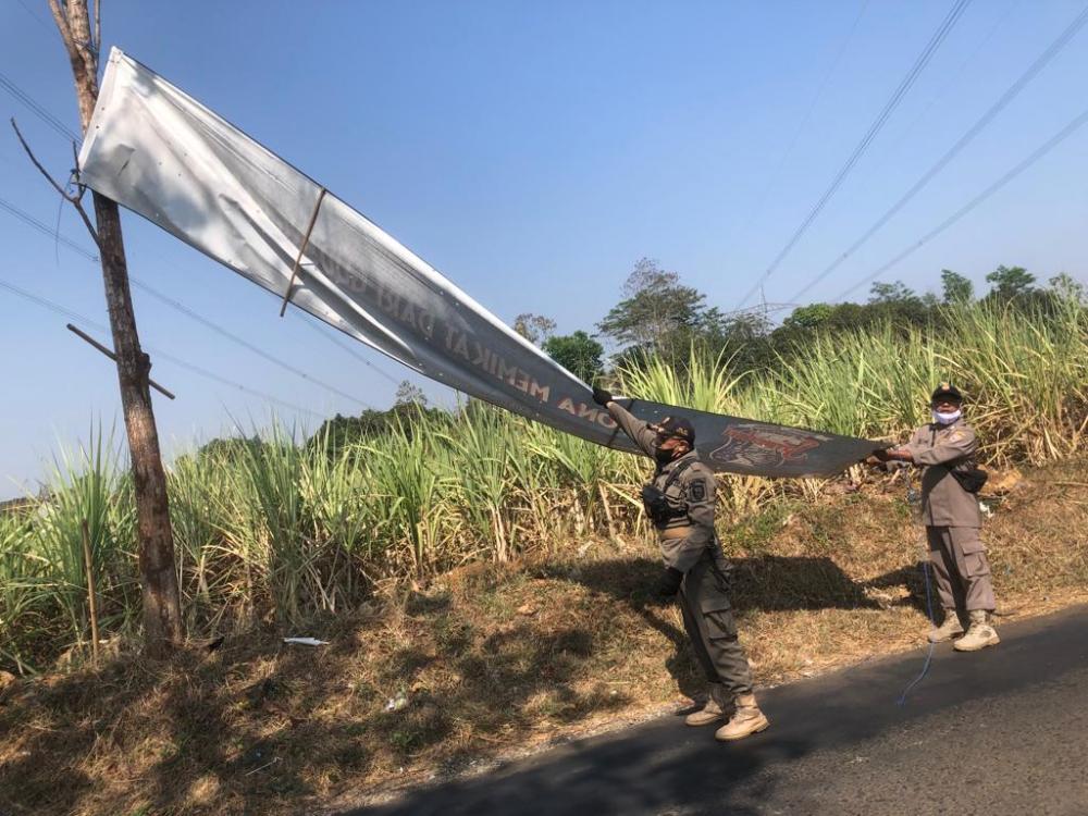 Satpol PP Batang Tertibkan Ratusan Baliho yang Melanggar Aturan Perda (Foto: Dok MC Batang)