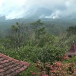 Mulai Padam, Sekitar 2.185 Hektare Area Gunung Lawu Terbakar