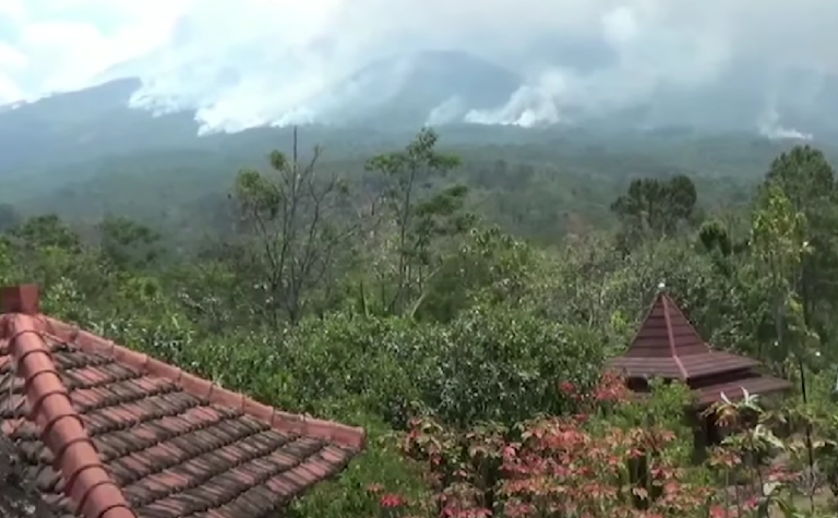 Mulai Padam, Sekitar 2.185 Hektare Area Gunung Lawu Terbakar