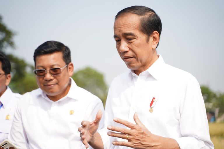 Panen Padi Bersama Presiden Jokowi, Kepala NFA: Ini Jadi Pelecut Produksi Nasional  (Foto: Dok Bapanas)