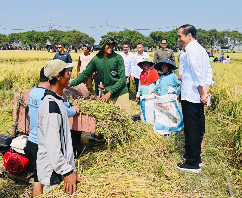 Dampingi Presiden Jokowi Panen Padi di Indramayu, Kepala NFA Dorong Pemerataan Pupuk ke Petani (Foto: Dok BPMI Setpres)