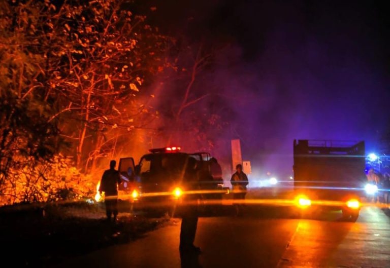 Hutan Petak 122 B2 RPH KPH Gundih di Desa Geyer Grobogan Terbakar (Foto: Dok Humas Polres Grobogan)