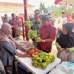 Layak Masuk Pasar Eksklusif, Produk Pertanian Kabupaten Semarang (Foto: Dok Diskominfo Pemkab Semarang)