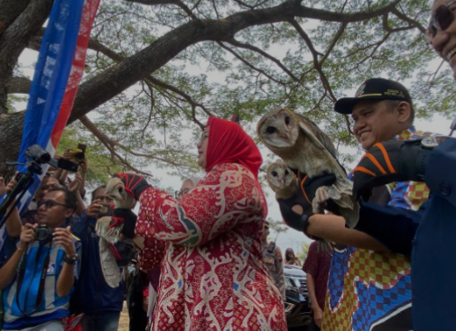 Kelompok Tani 5 Kecamatan di Sragen Mendapat Bantuan 42 Ekor Tyto Alba  (Foto: Dok Diskominfo Sragen)