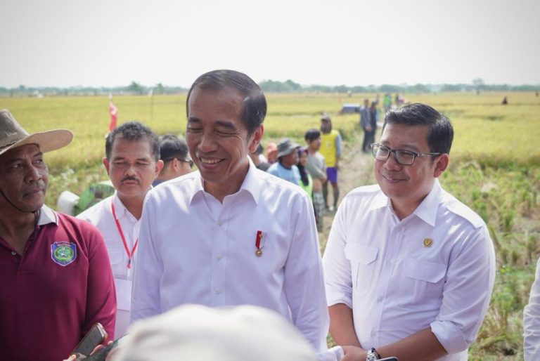 Presiden Joko Widodo mengecek panen raya padi di Kecamatan Sukra, Kabupaten Indramayu, Provinsi Jawa Barat, pada Jumat pagi, (13/10). (Foto: Dok Biro Pers Setpres)