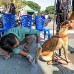 Memperingati World Rabies Day 2023, Pecinta Kucing dan Anjing  Antusias Ikuti Vasinasi Gratis (Foto: Dok MC Temanggung)
