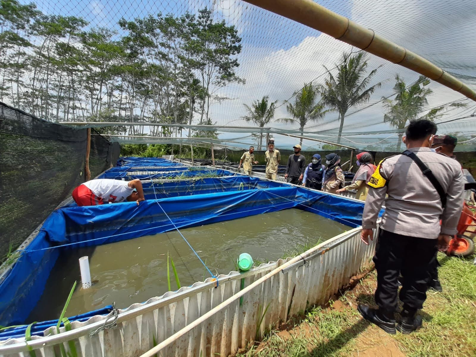 Tingkatkan Produktivifitas Perikanan, Temanggung Diberi DAK Rp 2,5 Miliar (Foto: Dok MC Temanggung)