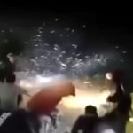 fenomena ikan terbang di pesisir selatan jabar
