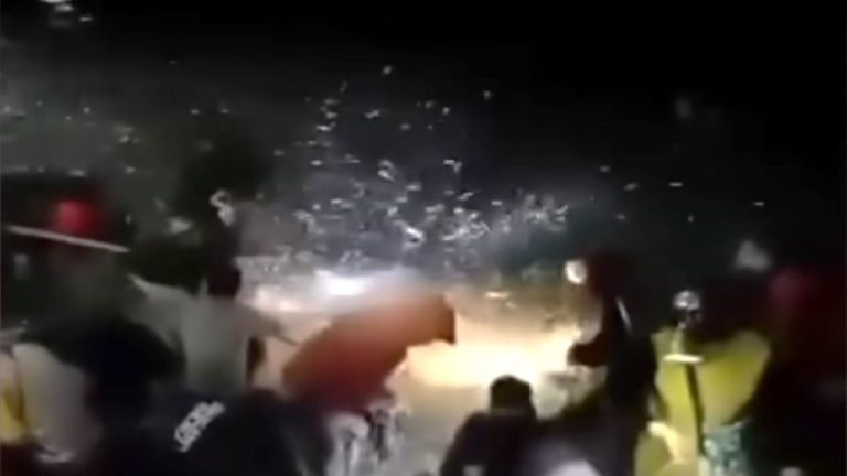 fenomena ikan terbang di pesisir selatan jabar