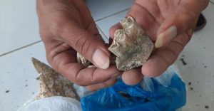 fosil-purba-pati-3_169