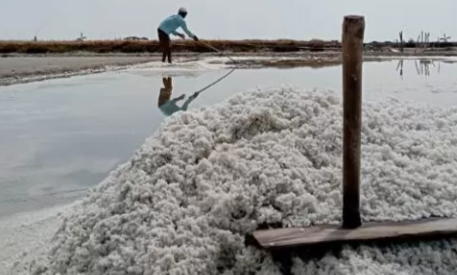 Screenshot_20251215-130542.Google