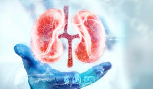 Screenshot_20251215-131659.Google