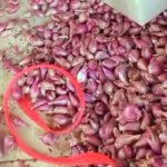 Screenshot_20251219-103310.WhatsApp Business~2