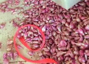 Screenshot_20251219-103310.WhatsApp Business~2