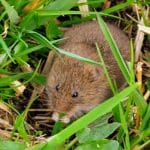 Screenshot_20251226-174041.Google~2